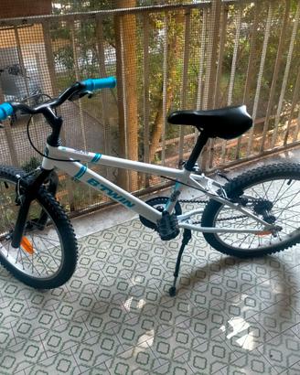 Bicicletta 20 pollici