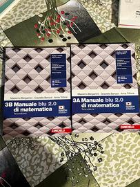 Manuale blu2.0 di matematica: terza edizione