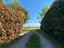 Immagine 28