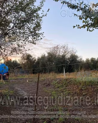 Terreno Agricolo Canino [A4342477]