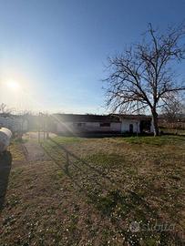 Casa indipendente con ampio terreno
