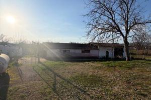 Casa indipendente con ampio terreno