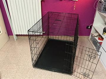 Box per cani 