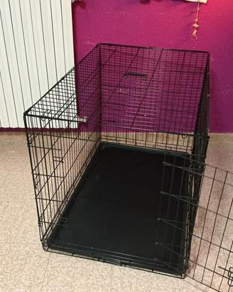 Box per cani 