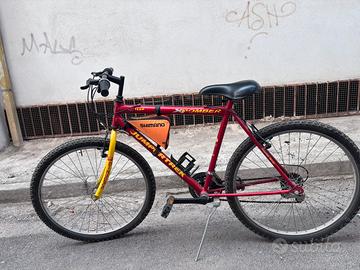 Bici montabike 26