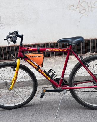 Bici montabike 26