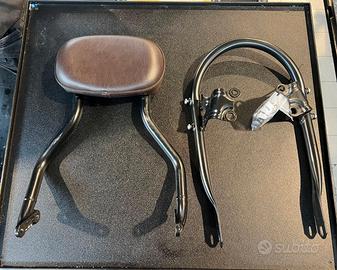 Supporto schienalino passeggero Triumph A9758332