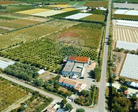 Azienda Agricola - Policoro