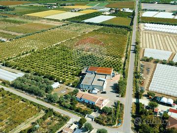 Azienda Agricola - Policoro