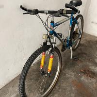 bici MTB Silver Star