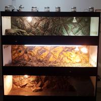 Terrario tartarughe - mobile rack