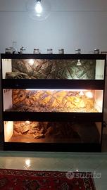 Terrario tartarughe - mobile rack