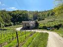 casa-indipendente-a-loazzolo