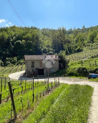 CASA INDIPENDENTE A LOAZZOLO