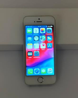 iPhone 5s tenuto in maniera impeccabile