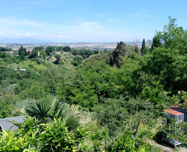 Castelnuovo della misericordia