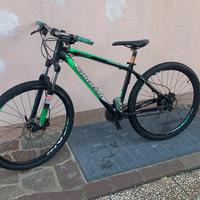 Bici MTB