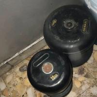 Pesi gym 10kg e coppia di 20kg