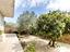Immagine 25