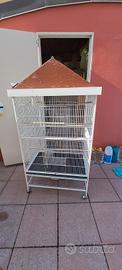 voliera per cocorite 