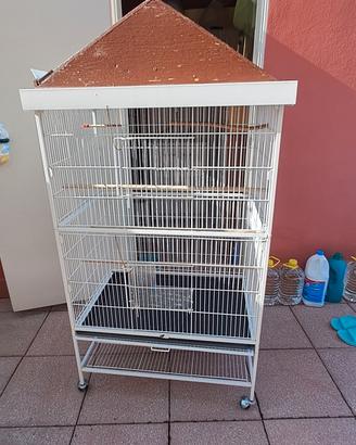 voliera per cocorite 