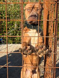 Pitbull ukc per accoppiamento
