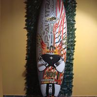 jp fsw pro edition 101