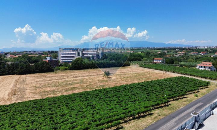 Terreno Industriale - Santa Maria Imbaro