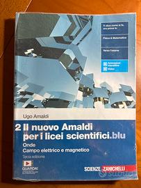 Il Nuovo Amaldi per i locei scientifici.blu 2