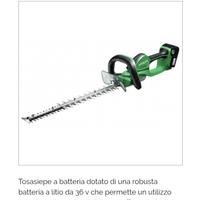 TAGLIA SIEPI A BATTERIA 36 VOLT ( PROFESSIONALE ) 