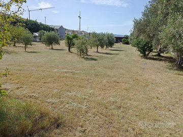 Terreno agricolo