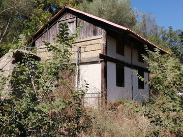 Terreno con deposito accatastato C3 pozzo uliveto