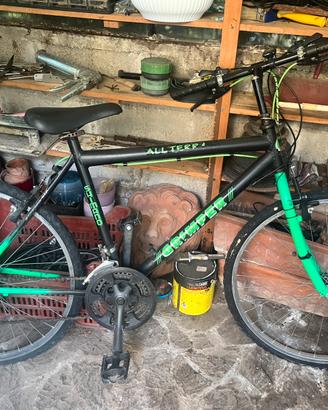 Bicicletta