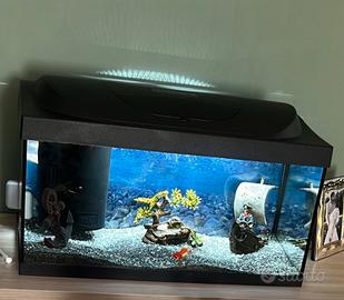 Acquario 50 L