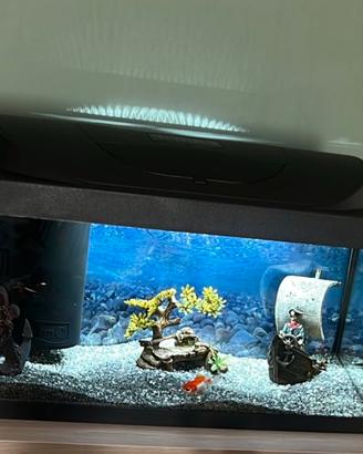 Acquario 50 L