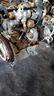 motore-renault-scenic-1-5-dci-anno-2006-km-121000-