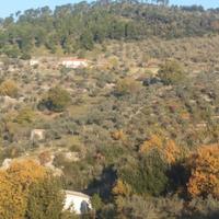 Vendita villetta con terreno