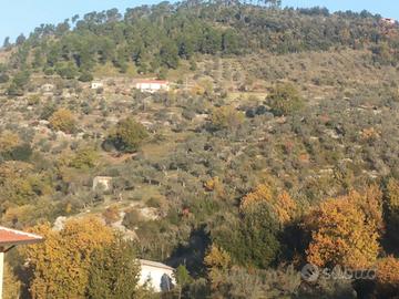 Vendita villetta con terreno
