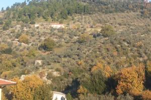 Vendita villetta con terreno