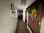 Immagine 20