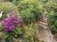 Immagine 28