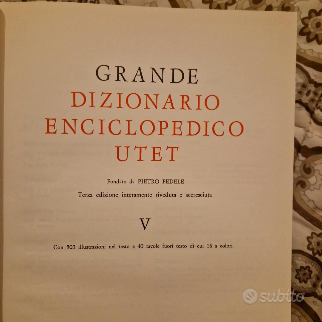 Dizionario francese italiano - Libri e Riviste In vendita a Lodi