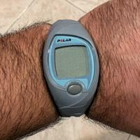 Orologio Polar