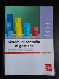 sistemi di controllo di gestione 