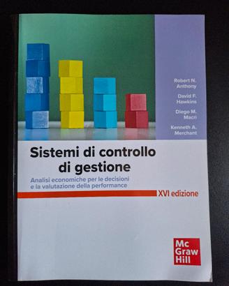 sistemi di controllo di gestione 