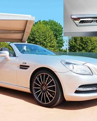 MERCEDES SLK 250 CDI SPORT AMG