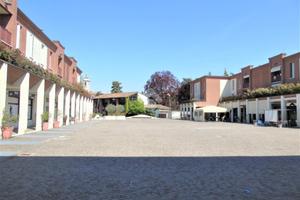 NEGOZIO A BORGOSATOLLO