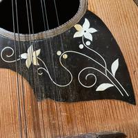 Mandolino