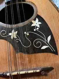 Mandolino