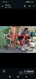 bici da corsa vintage colnago 